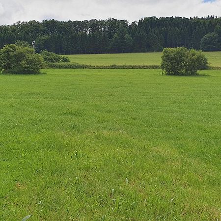 Ferienwohnungen Am Finkenweg Bestwig Eksteriør bilde