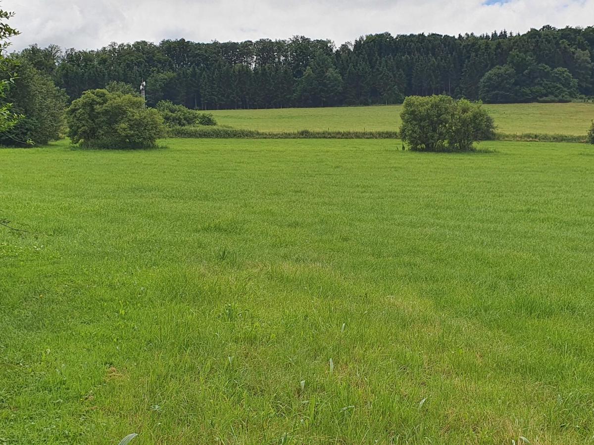Ferienwohnungen Am Finkenweg Bestwig Eksteriør bilde