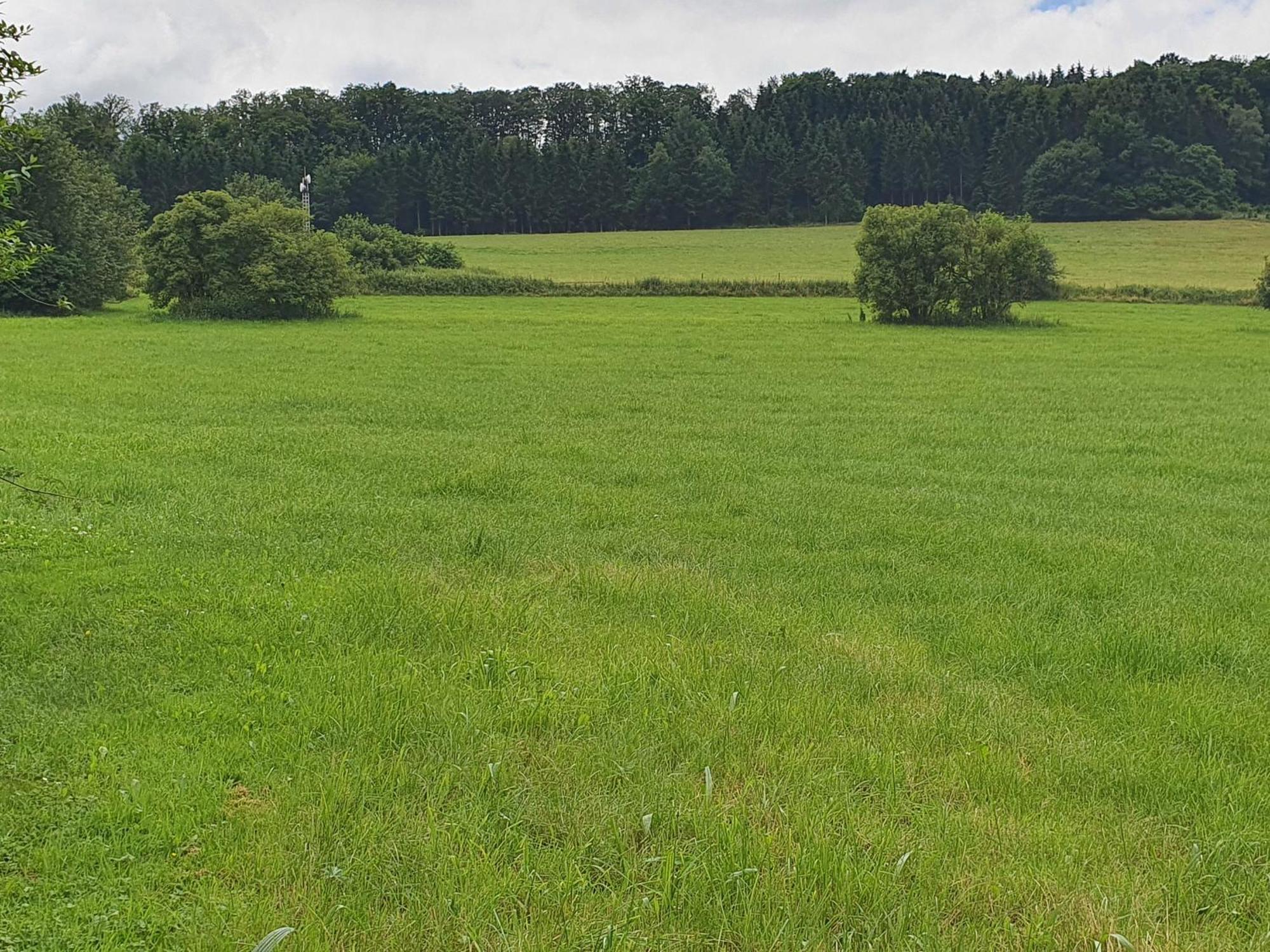 Ferienwohnungen Am Finkenweg Bestwig Eksteriør bilde